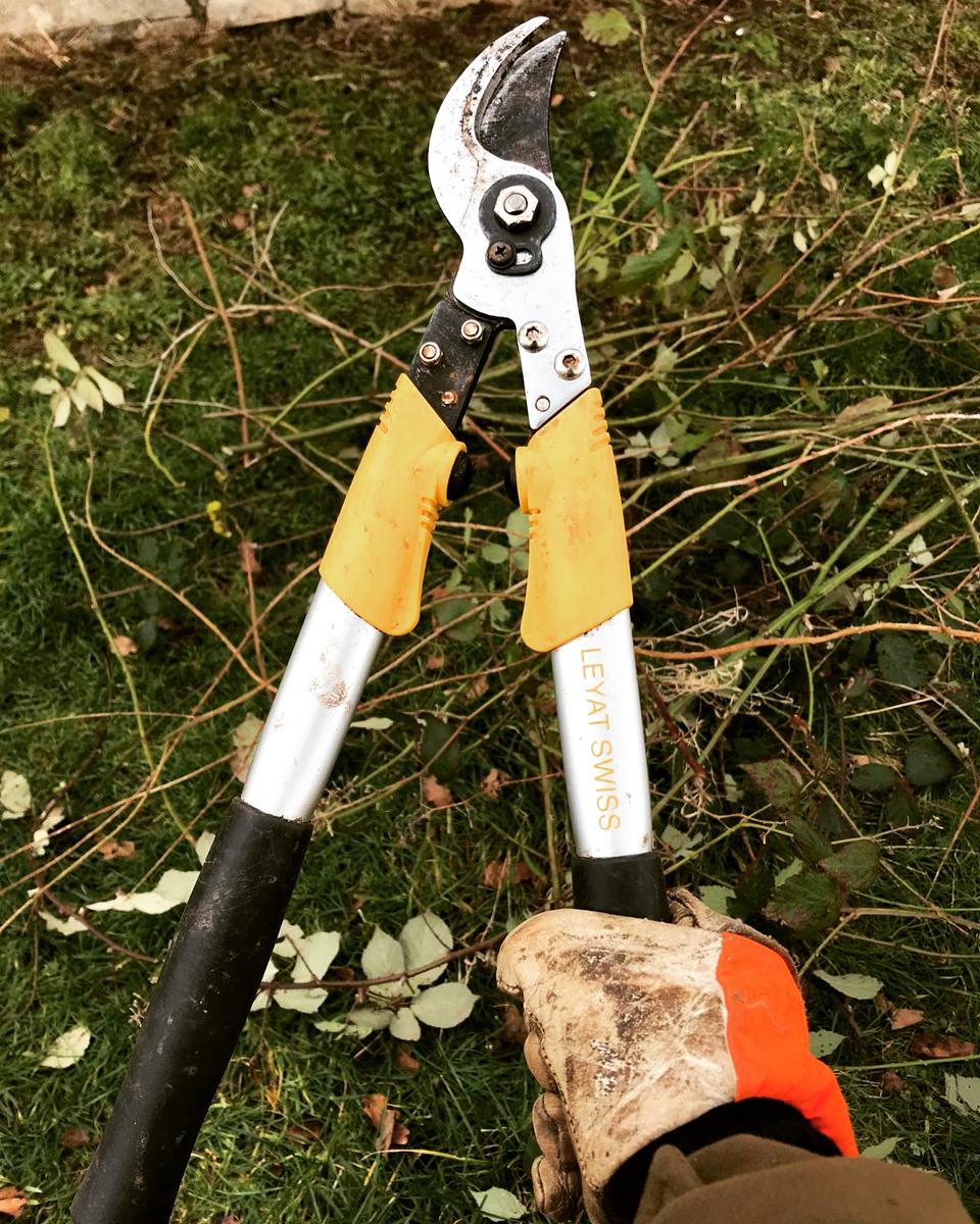 Leyat Professional Compact Loppers Action