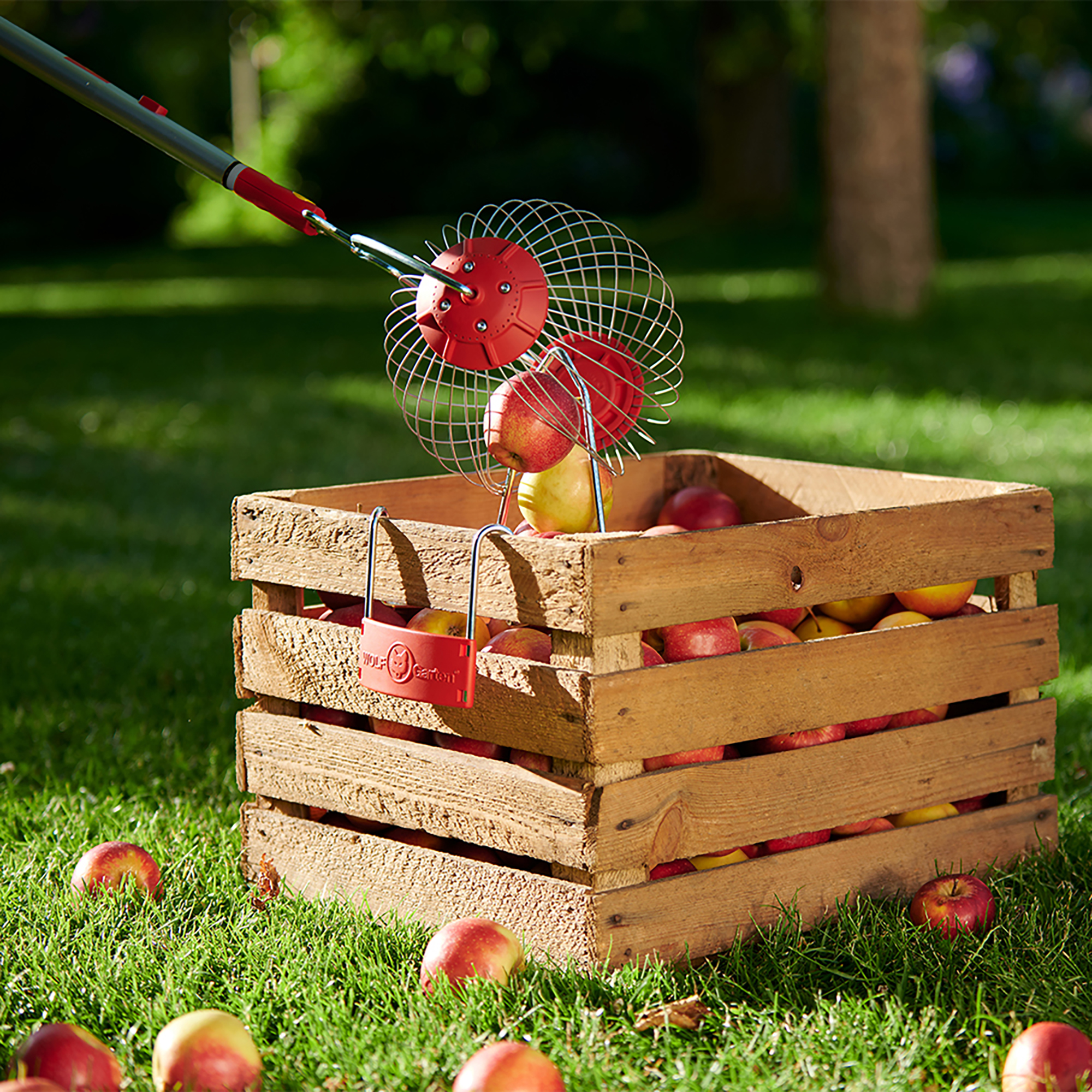 Wolf Garten multi-change® Fruit Collector action 2