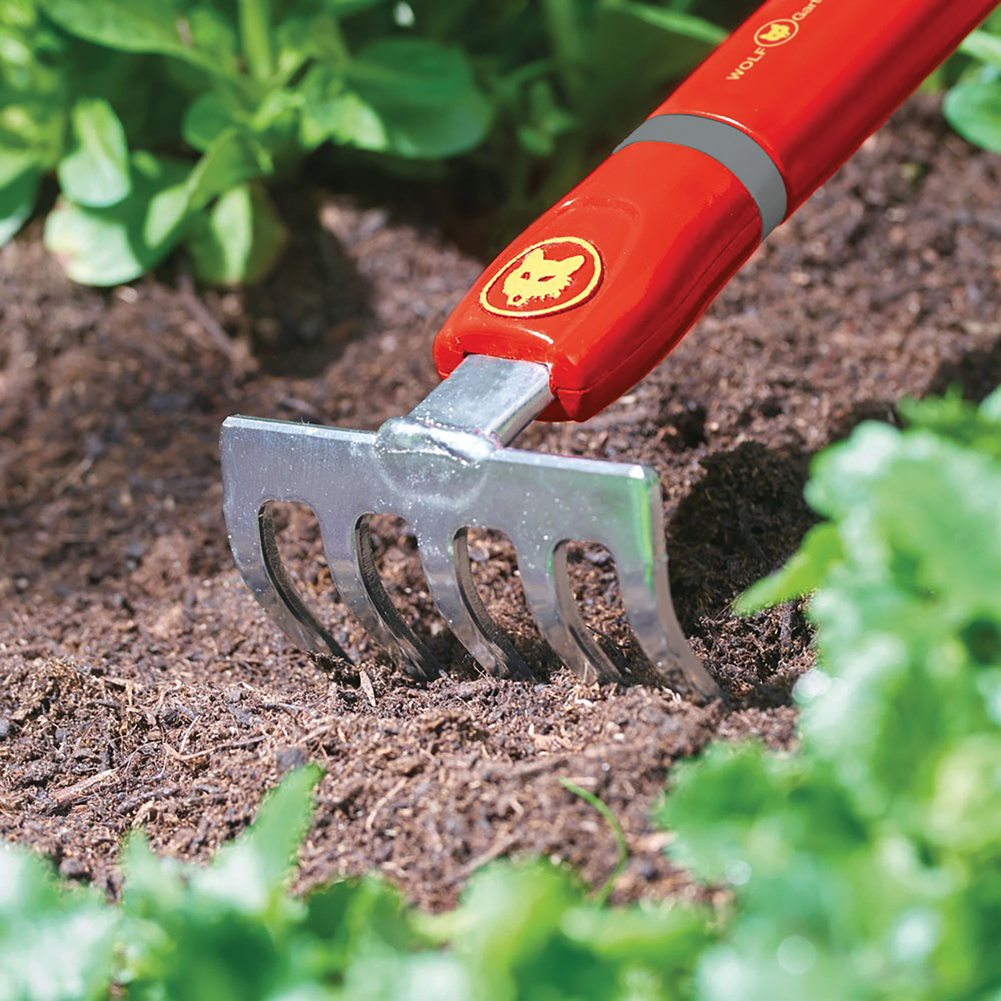 Wolf Garten multi-changeĀ® Small Rake 8 cm action