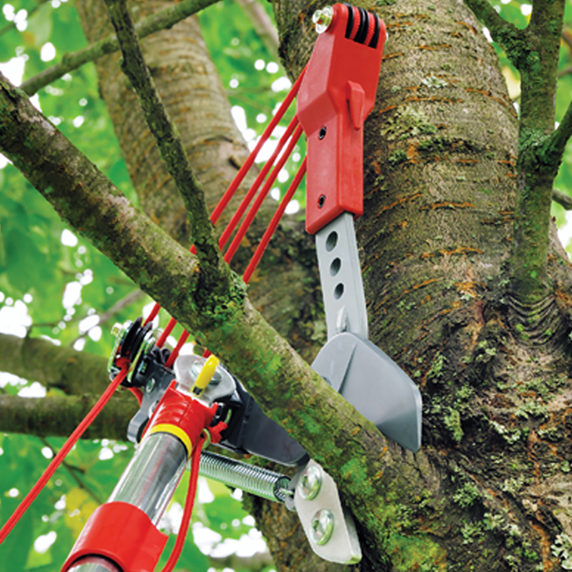 Wolf Garten Adjustable Anvil Tree Lopper 1