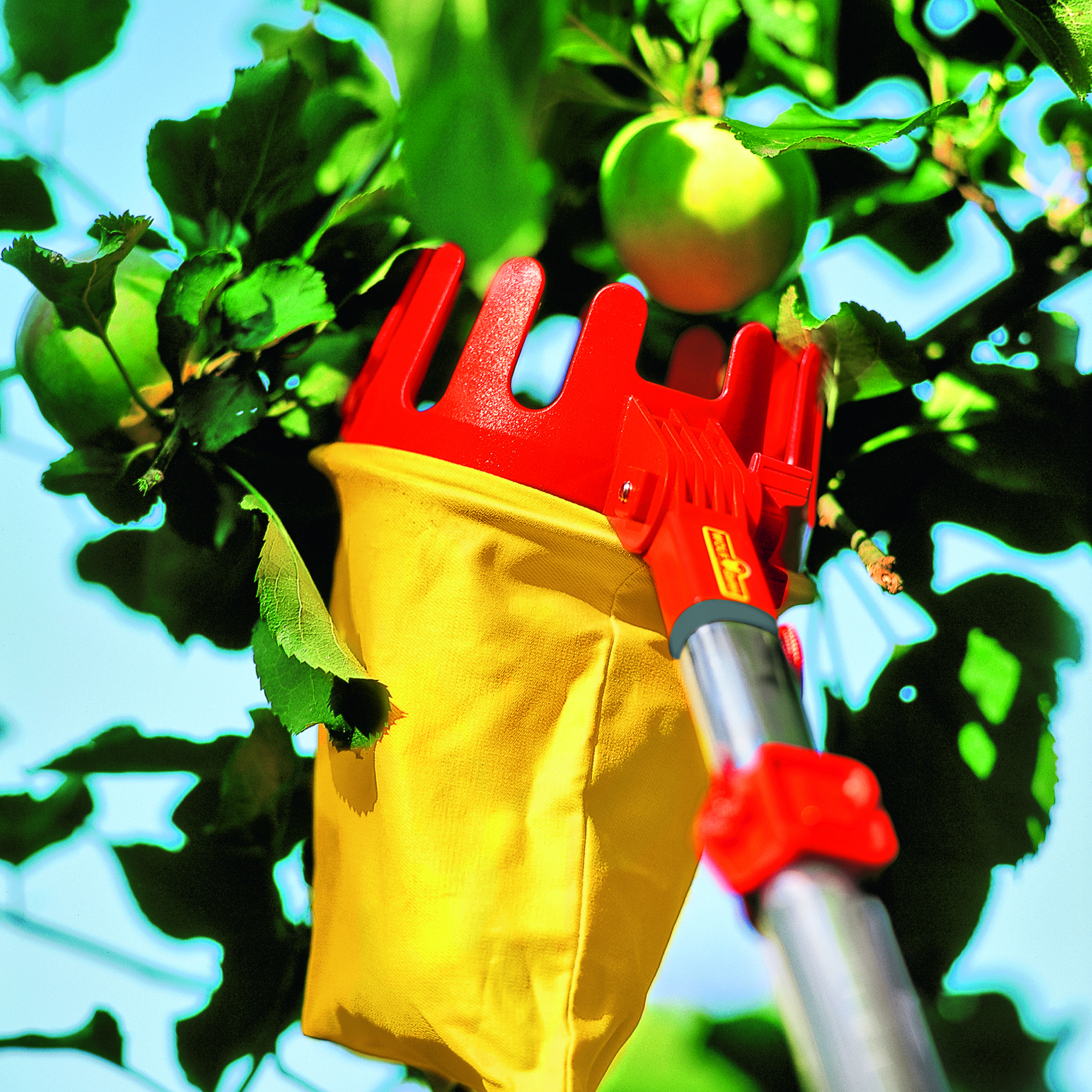 Wolf-Garten multi-changeĀ® Adjustable Fruit Picker 1
