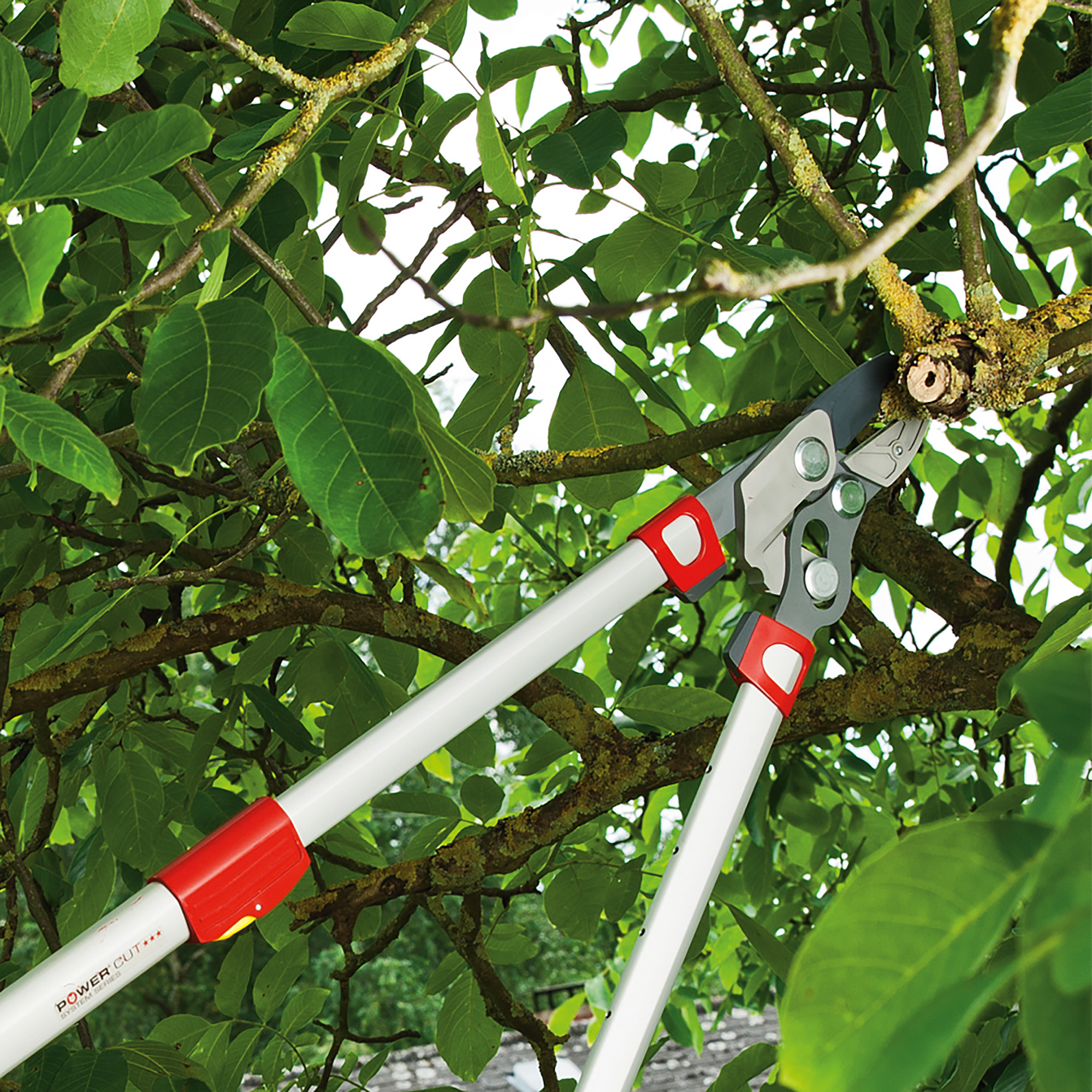 Wolf Garten 4x POWER Cut Anvil Lopper 1