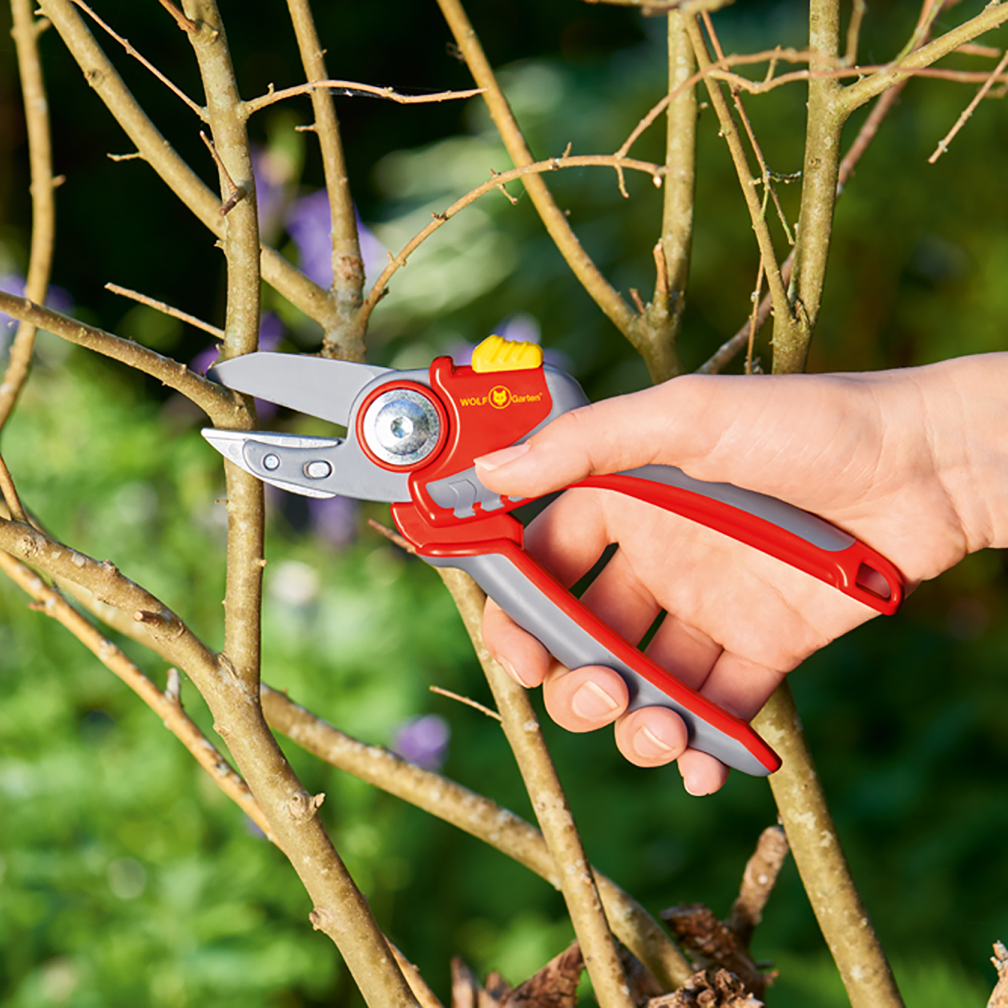 Wolf Garten Premium Plus Anvil Secateurs 1