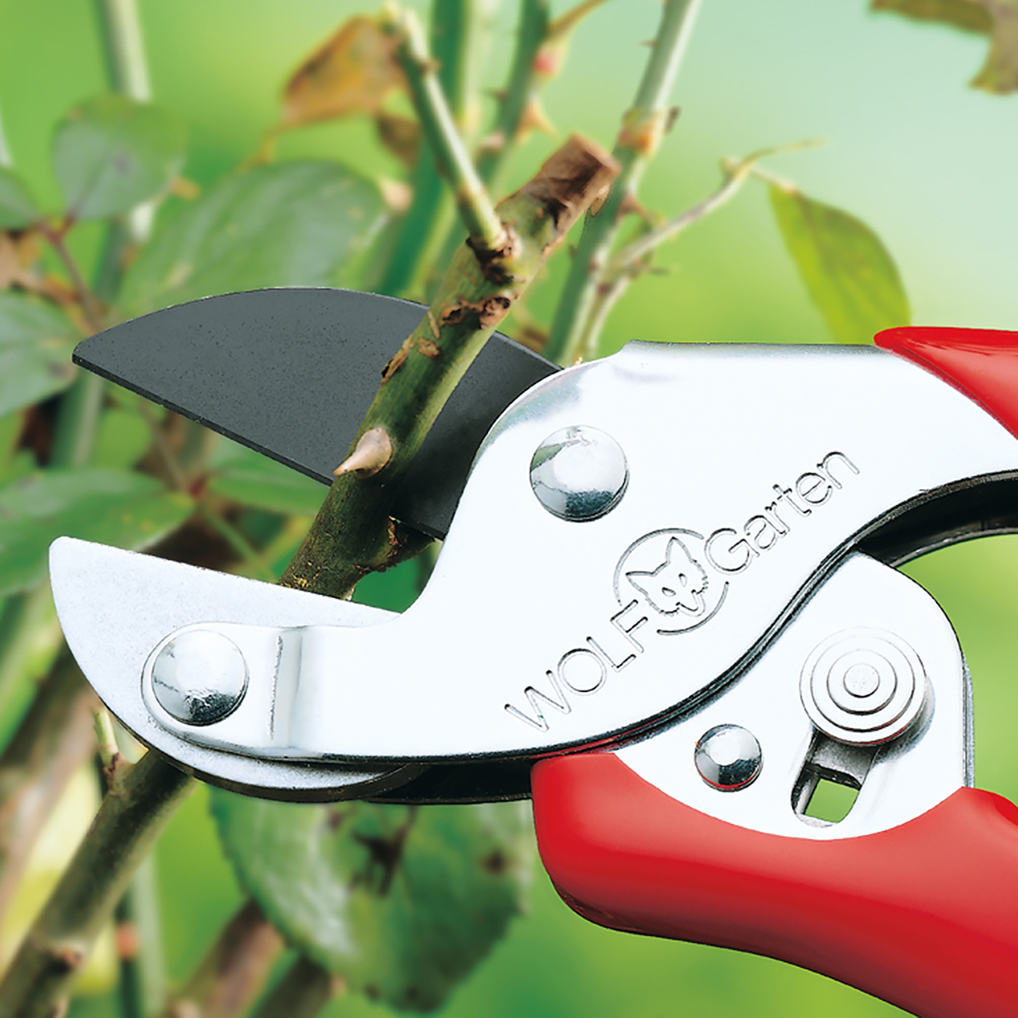 Wolf Garten General Purpose Anvil Secateurs 1