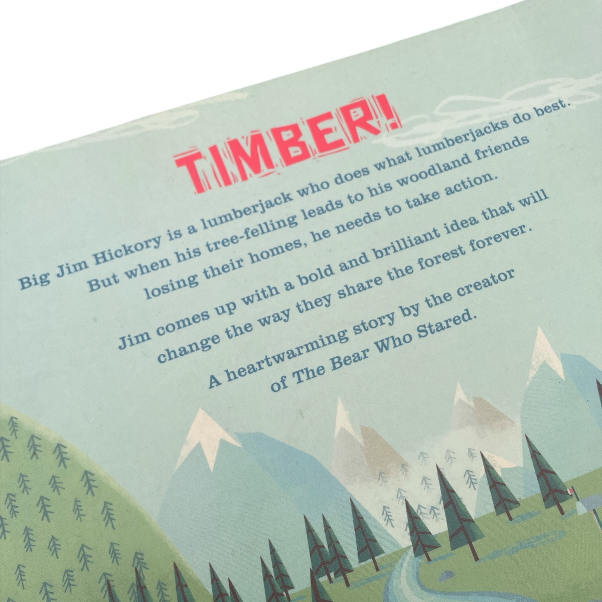 The Lumberjack's Beard Story Book Paperback Story